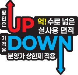 UP DOWN 혜택